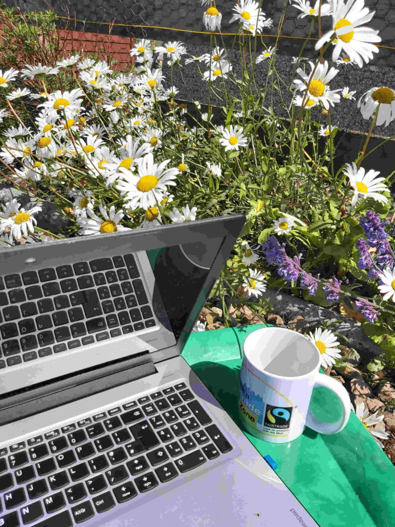 lpatop flowers and mug of coffee