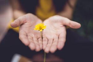 flower in hands