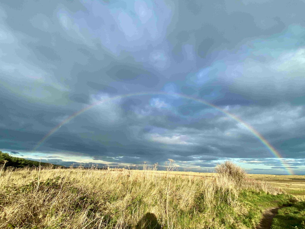 rainbow and fields